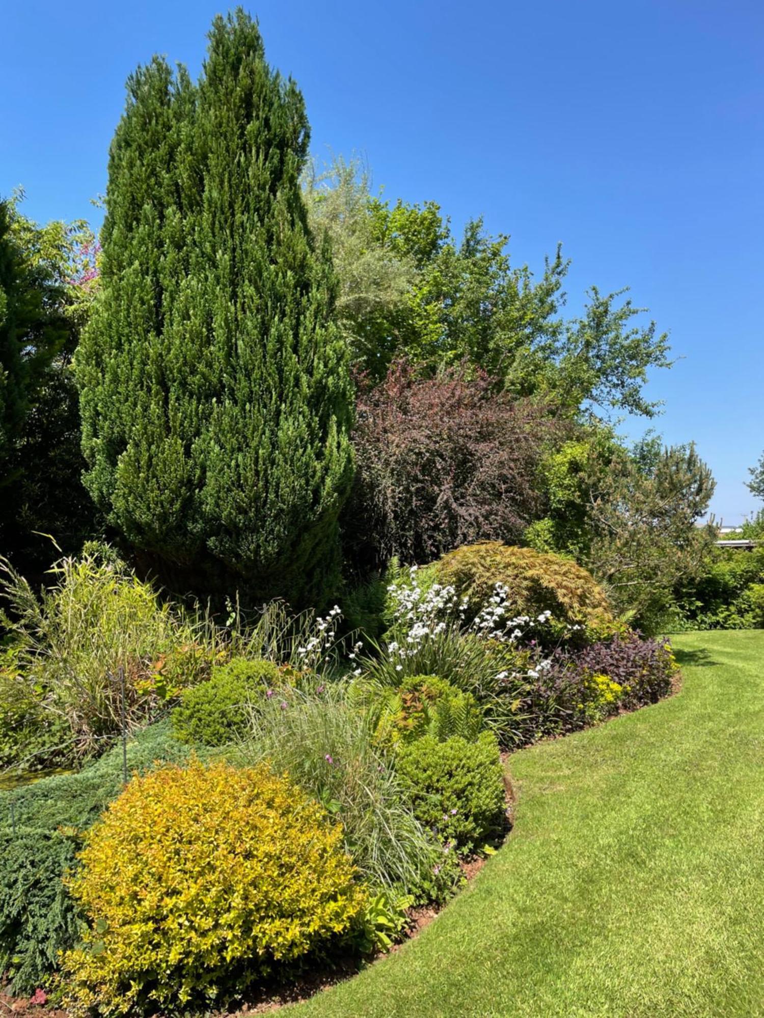 East Harptree Leylands Annexeヴィラ エクステリア 写真
